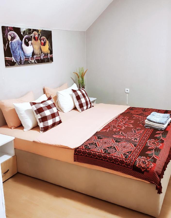 Oldtown Apartments - Marigold Group Novi Sad Extérieur photo